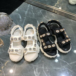 X|[cT_ rW[ ubgtH[ V[Y  _bhT_ LL r[Y ₷ ₷ {[q[ w l  JWA  r C