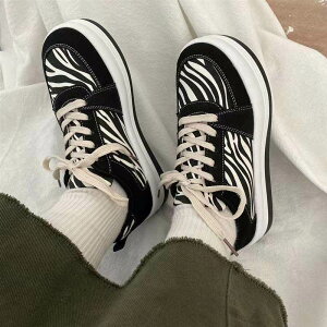 [u Xj[J[ V[Y C  Nc Xj[J[ 3-5cmq[ tbg EhgD ₷ ₷  {A g  [XAbv 킢 l J