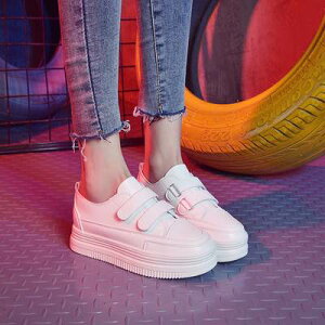 Xj[J[ V[Y Xj[J[ fB[XXj[J[ Xj[J[  EhgD 킢 l ꂢ Vv JWA l i   GKg 