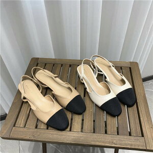 V[Y fB[X ~[ 1cmq[ [q[ Ɩ EhgD obNXgbv ₷ ₷  _炩 PU l ꂢ Vv JWA i 