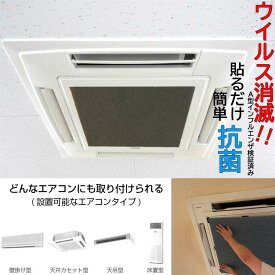 Mサイズ 高性能 業務用 エアコン フィルター ウイルス 感染対策 予防 抗菌 除菌 pm2.5 細菌 花粉 ほこり 鼻水 鼻づまり アレルギー カビ 臭い におい 脱臭 消臭 風邪 インフルエンザ コロナウィルス 油 炭 たばこ ヤニ 煙 空気清浄機 洗浄 掃除 会社 オフィス 店舗 飲食店