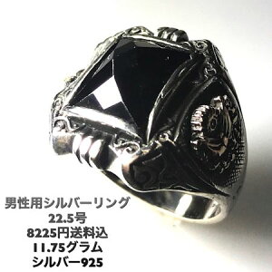 gl̏iȑu₩ohVo[ONo.397 22.5 j×Vo[925MtgEv[g