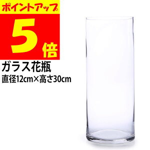 30cm フラワーベース ガラス 花瓶の人気商品 通販 価格比較 価格 Com