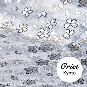 E n z ⎅n   /E ͂/Ez/Ejq/an/an/ED/E [؂