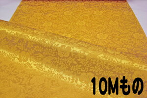 y|Cg10{zdq  n zP F ЁiCG[ F az an an ͂ CeA  nj