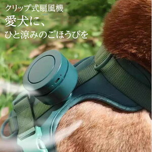 p |[^u@ Ut@ N[~j É y USB[d MǑ΍ ėp ybgpt@