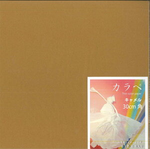 �J���y�@�P�F�@Thin color paper�@30cm�p�@�L�������@���肪��