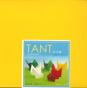 TANT(�^���g��)�@COLOR�@PAPER�@24cm�p�@�P�F�@���F�@���肪��
