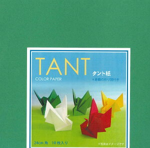 TANT(�^���g��)�@COLOR�@PAPER�@24cm�p�@�P�F�@�΁@���肪��