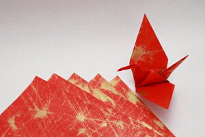 {@()@ 24cmp@߁@a@肪݁@PF@