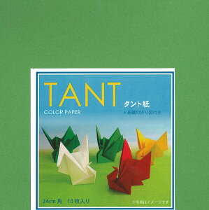 TANT(�^���g��)�@COLOR�@PAPER�@24cm�p�@�P�F�@���΁@���肪��