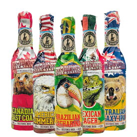 ビール 期間限定 クラフトビール 珍しい 5本 飲み比べセット メキシカンラガー イーストコースト サマーエール おしゃれ パーティー 誕生日 プレゼント ホームパーティー バーベキュー 海外ビール 地ビール 輸入ビール 詰め合わせ 当日出荷 送料無料