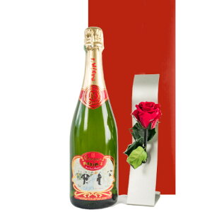 ͂ C  Zbg Vp  MtgZbg vU[uht[ ͂Ȃ tX }LVEhEp h 750ml ֑}  o X^h LO j a 