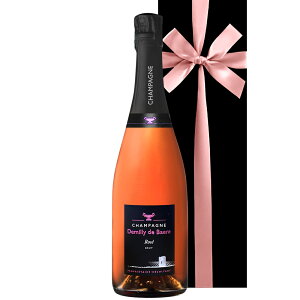 o C [ Vp [ tX uf~[EhEx[v A h 750ml [Vp v[g a j LO EGfBO N   ޏ ꂳ 