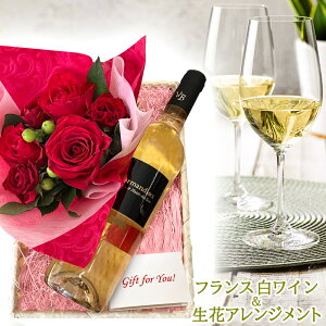 a LO o J[lV AWg  C Zbg v[g tX  ÂC  t[AWg Mtg OhbN Ì 750ml  o t[M