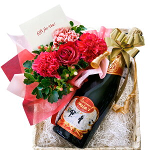 wv̓ Vp C  MtgZbg }LVEhEp C t[AWg tX 750ml h A  sN o J[l[V j LO a 