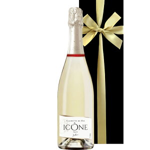 o C Xp[NO Ì Xp[NOC Mtg  v[g tX NbgEhEfB[ 2019N  750ml v[g  A CZbg j  