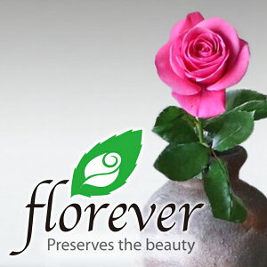 Ԃ̐FIׂ W[X  MtgZbg tX AE~A alain milliat Yx[ lN^[ 330ml vU[uht[ o  sN  mA a j v[g 