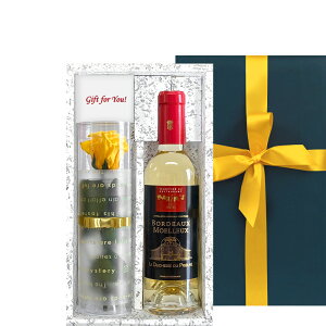 z C  Zbg Mtg Ì C tX }LVEhEp {h[ 375ml n[t{g vU[uht[ ւ̃o F v[g  j  j 