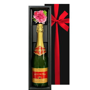 ͂  C Mtg Xp[NOC tX {h[ h750ml ~j t[{bNX J[l[V  MtgZbg ͂Ȃ  a j LO MtgZb