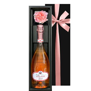 Xp[NCOC  Zbg [ Xp[NOC Vp@ ~j t[{bNX J[l[V sN MtgZbg C^A h750ml ͂Ȃ a j L