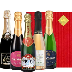 ͂ C  Vp 375ml n[t{g 5{ Mtg Luh }LVEhEp e  CZbg ݔ lߍ킹 MtgZbg a j 