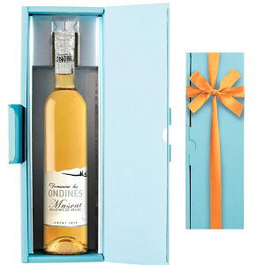 MtgE{t C Mtg Ì C tX [k u~XJE{[EhEj[Yv 500ml  a j bZ[WJ[h ސEj   ꂳ Â 