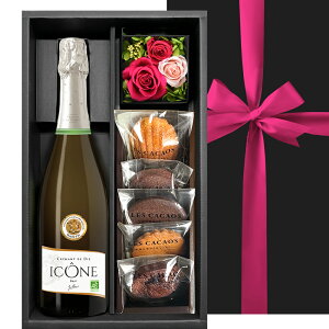 NX}X C  Ăَq Mtg Zbg Ì Xp[NOC tX 750ml vU[uht[ sN o َq mَq ĉَq 5 }h[k lߍ킹  LES CACAOS 