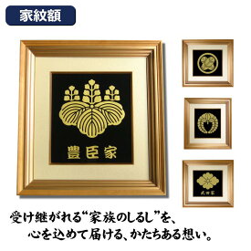 家紋 家紋額 色紙サイズDeluxe 家紋・お名前をガラス彫刻