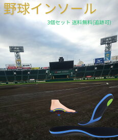 【3個セットでお得】野球インソール【送料無料&即日出荷&荷物追跡可能&アソート可】 野球力UP 中敷き 衝撃吸収 いつものスパイクに入れるだけ アーチサポート クッション性抜群 軽量 通気性 大きさカット調整可 疲労軽減 走塁力アップ 打撃アップ 守備力アップ 盗塁率アップ