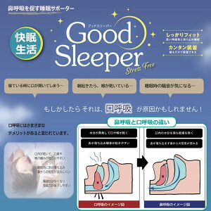 Good Sleeper@@ċz𑣂T|[^[@ubN@E@@ċzEċz@@т@L@T|[^[@ɔn@Lk@~߁@ȒP