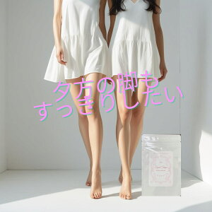 送料無料&即日発送 スピードシェイプ ボトムスレンダー シュット 120粒 めぐりサポート めらめら 夕方の脚 黒酢 明日葉 メリロート カリウム 赤ブドウ葉 キュット 冷え ふくらはぎサプリ 寝