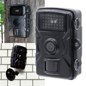 yzt@~ hƃJ O Ď Be  ԏ  u  ԊO lJ J Be t }CN hƑ΍ Qb΍ ԎBe R[_[   x