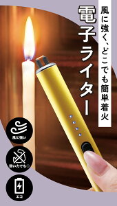 �[�d���v���Y�}���C�^�[���S�[���h���@�΂��g��Ȃ��v���Y�}���C�^�[�@�d�C�̗͂Ńp�`���ƒ��΁@�����ł��������Ɏg���� ��Q�� �� ���S USB�[�d ���E�\�N ���[�\�N ���� ���d �N���X�}�X