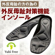 ガイハンインソール 外反母趾対策機能インソール 中敷き アイデア　便利　商品　プランドゥ　C ダイエッ…