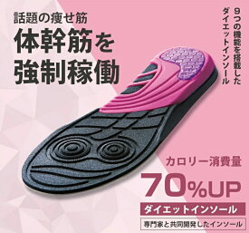 大人気ダイエットサポートインソール 体幹筋エクササイズインソールツインボール 体幹 ダイエット 中敷き インソール 骨盤 筋力UP 衝撃吸収 カロリー消費UP 中敷き 姿勢矯正 疲れない ダイエット アーチサポート ニューバランス シークレット　アイデア　便利　プランドゥ　C