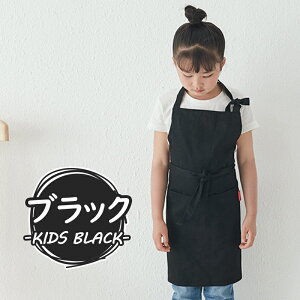 Gv  ۈm 킢 s[X JtFGv fB[X Y O  Ǝ Vv l LbY@y   JtFGv qƂp@p jp 100 R
