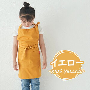 Gv  ۈm 킢 s[X JtFGv fB[X Y O  Ǝ Vv l LbY@y   JtFGv qƂp@p jp 100 R