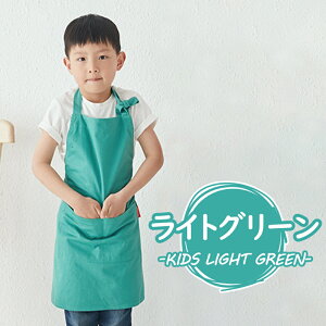 yő10I12/5zGv  ۈm 킢 s[X JtFGv fB[X Y O  Ǝ Vv l LbY@y   JtFGv qƂ