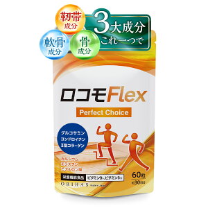 yzORT~ RhC` R[Q qA_ GX` RtbNX 3听z AxсA ЂE֐߃PAK JVE G II^R[Q { 