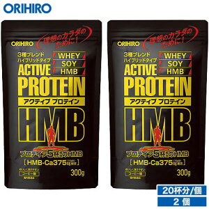 11,391~ Iq ANeBuveCHMB 300g 20t 2 R[q[ orihiro Tv Tvg ăoe _CGbg veC_CGbg veC zGC hmb R