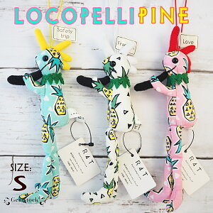 nCA RRy RRyl` Ry Xgbv pCibvyR4TА KizSTCY L[z_[fB[X 킢 ʂ yA nCAG u  IuWF 