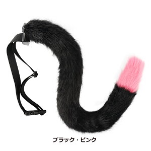  Zbg K RXv  RXv  p[eB[ RXv [^ Cu RX`[ ς RXv nEBCxg  G 