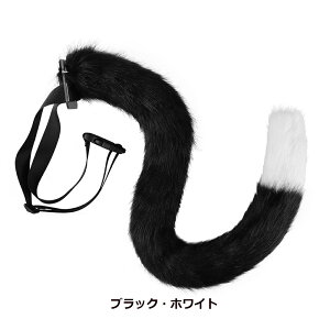  Zbg K RXv  RXv  p[eB[ RXv [^ Cu RX`[ ς RXv nEBCxg  G 