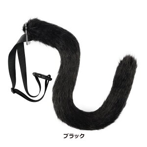  Zbg K RXv  RXv  p[eB[ RXv [^ Cu RX`[ ς RXv nEBCxg  G 