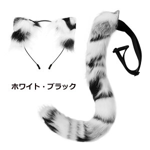 ώ  F 2_Zbg ӂӂ tHbNX Ck J`[V  ˎ  Zbg RXv ς ӂӂ K  2_Zbg T RXv  ϑ nEB 