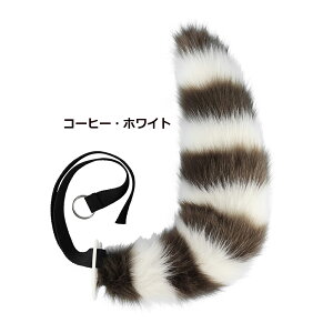  Zbg K RXv  RXv  p[eB[ RXv [^ Cu RX`[ ς RXv nEBCxg  G 