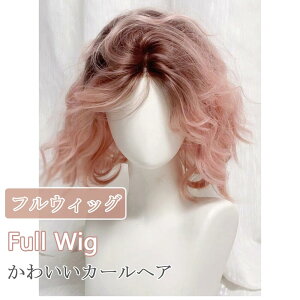 V[g sN Of[V EBbO h GALn ϔM RȂӂӂ튴 J[ p[} {u ~fBA ECbO  RXv wig  R ϔM lbgt (sN)