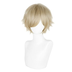 �E�B�b�O wig 30cm ���\ �V���[�g�w�A �l�b�g�t�� �t���E�B�b�O �J�c�� ���� �ϔM ������� ���킢�� �ʋC�� ������� cosplay �R�X�v�� ��������