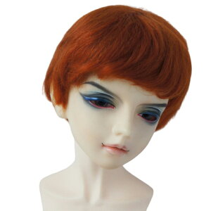 h[pEBbO l` ӂӂ wA BJD  V[gwA V[g{u ̎q j̎q 1/8 1/6 1/4 1/3 5-9C` l`p Jc ϔM p l` ANZT[ S3F(EBbÔ)